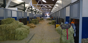 Stallgasse & Boxenkomfort