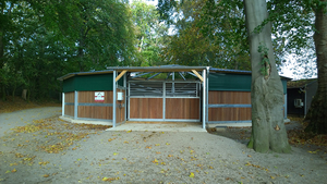 Trainingsgeläuf unter altem Baumbestand