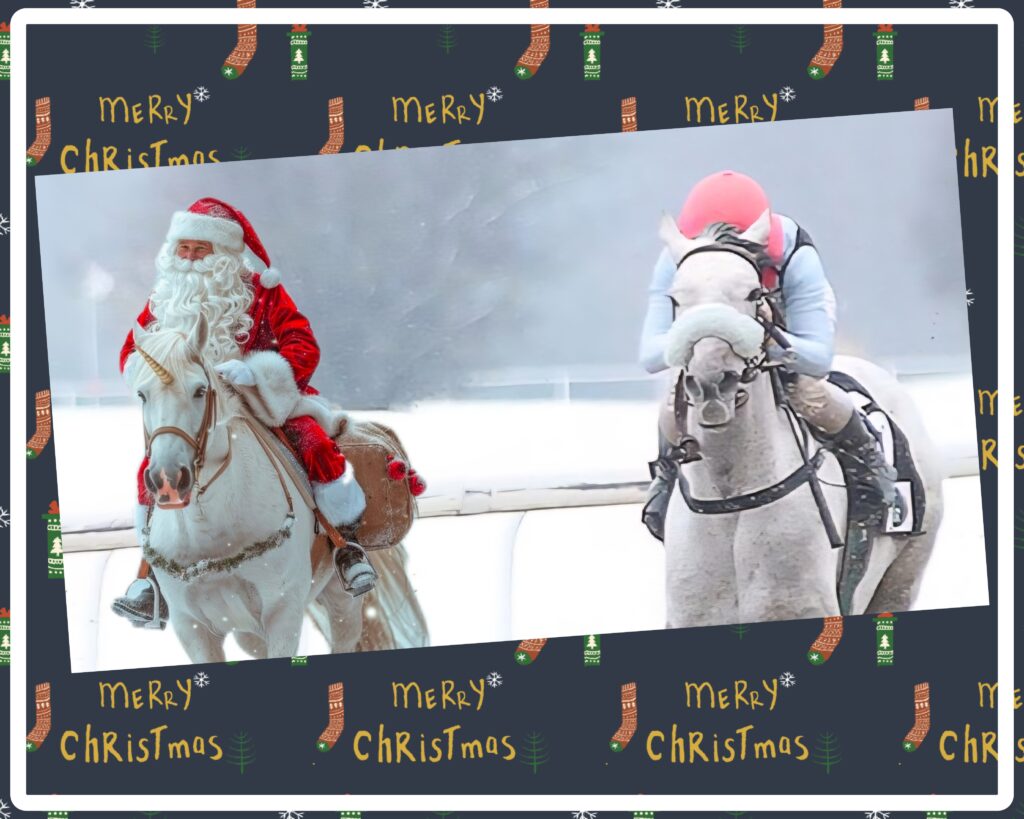 FROHE WEIHNACHTEN
